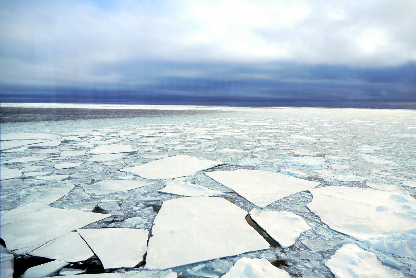 Nouvelle glace - scène typique de l’océan Arctique