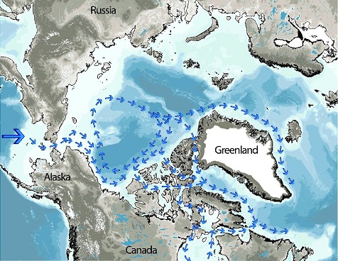 Circulation des eaux du Pacifique.