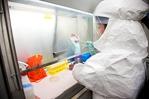 Photo : Une scientifique portant un vêtement de protection individuelle dans une enceinte de biosécurité d’un laboratoire de NC3