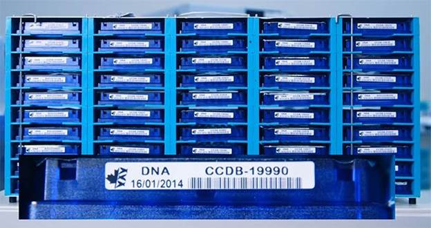 Stacked DNA trays with barcode stickers labelling each separate species