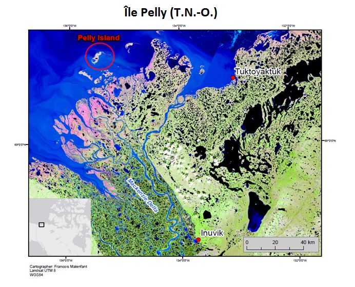 Fig. 1 Carte de localisation de l’île Pelly, située en bordure du delta du Mackenzie (T.N.-O.)