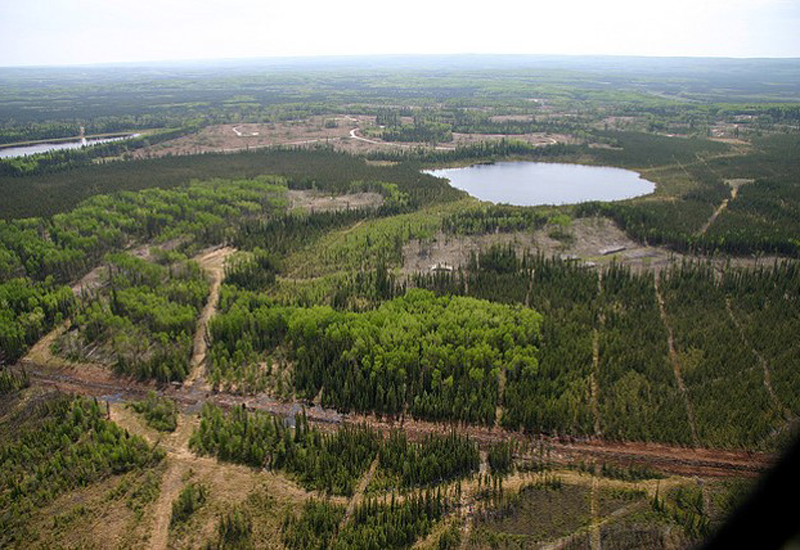Aerial view of multi-stressor boreal landscape