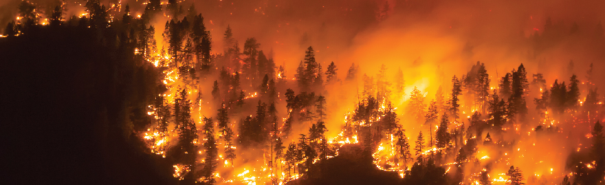 Dans le cadre de leur étude, les scientifiques d’Environnement et Changement climatique Canada Vivek Arora et Joe Melton examinent comment les modèles du système terrestre canadien pourraient être utilisés dans le but de fournir aux décideurs de meilleurs outils pour gérer les feux de forêt.