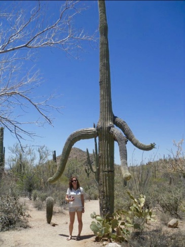With one of those enormous cacti.