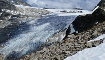 Picture of the Illecillewaet Glacier from the Glacier Crest Trail in Glacier National Park. 