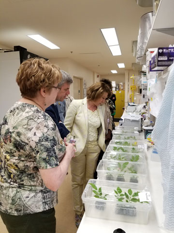 Dr. Mona Nemer toured an Agriculture and Agri-Food Canada research facility in Saskatoon, engaging with scientists on innovative agricultural practices.