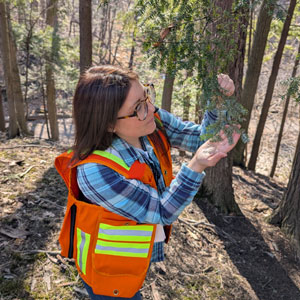 One-on-one with Julie Holmes: Protecting plant health from the ground up