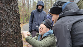 Traps, trees, and teamwork: How plant health surveillance protects Canada’s green spaces