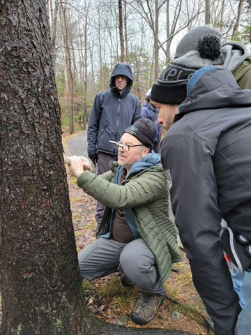 Les membres de l'équipe de surveillance phytosanitaire de l'ACIA examinent un arbre atteint à la recherche de signes d'espèces envahissantes.