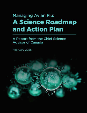 Report cover