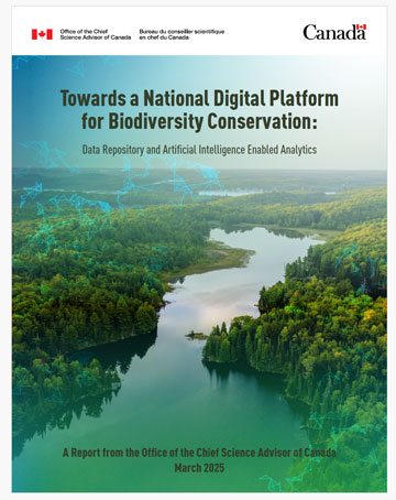 Report cover