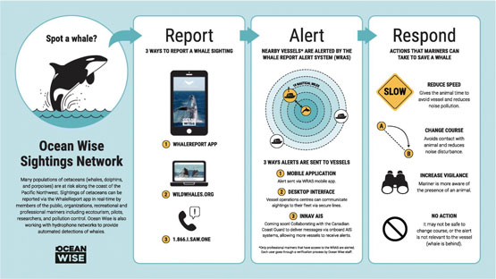 Ocean Wise Sightings Network
