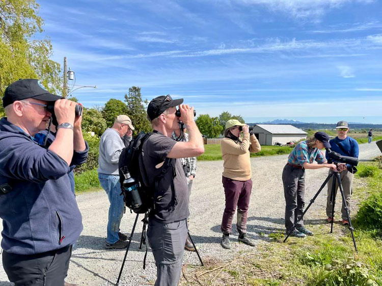 On-site assessment: Members of the Independent Scientific Body, chaired by Dr. Mona Nemer, observe migratory birds during a site visit to the Roberts Bank Terminal 2 project in Delta, B.C.