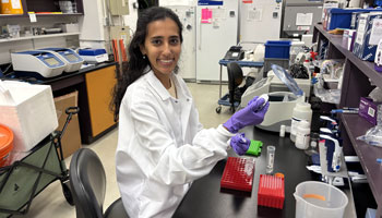 Is playing a game of “Spot the Difference” the key to outsmarting weeds?