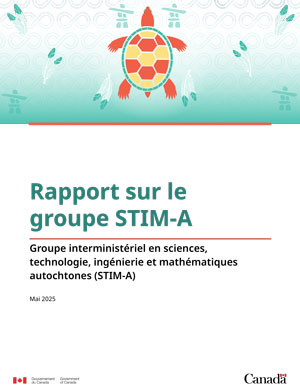 Rapport sur le groupe STIM-A