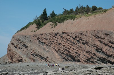 Joggins Fossil Cliffs