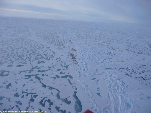 Concentrated sea ice.