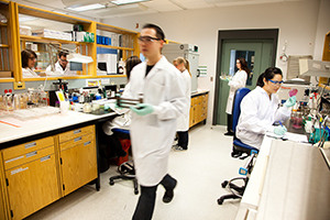 Photo : Des scientifiques travaillant dans un laboratoire de NC2