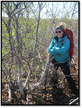 Jenna (right) in a patch of Alnus viridis shrubs in Siksik creek. 