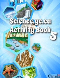 Activity Book 5