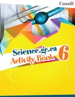Activity Book 6