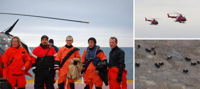 Pre-departure on the flight deck (L to R) David Levy, Dale Ruben, David Mosher, Nelson Ruben and Paul Mosher. Right: Helicopters and muskox