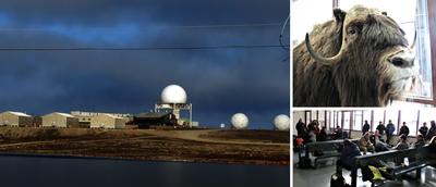 Left: The DEW Line station outside of Cambridge Bay. Right: Cambridge Bay airport, featuring a life-like stuffed muskox
