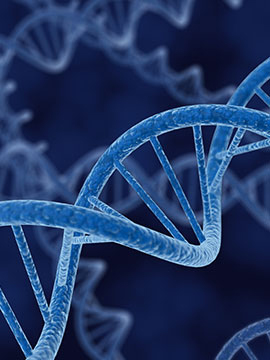Image en 3d d'une double hélice d'ADN