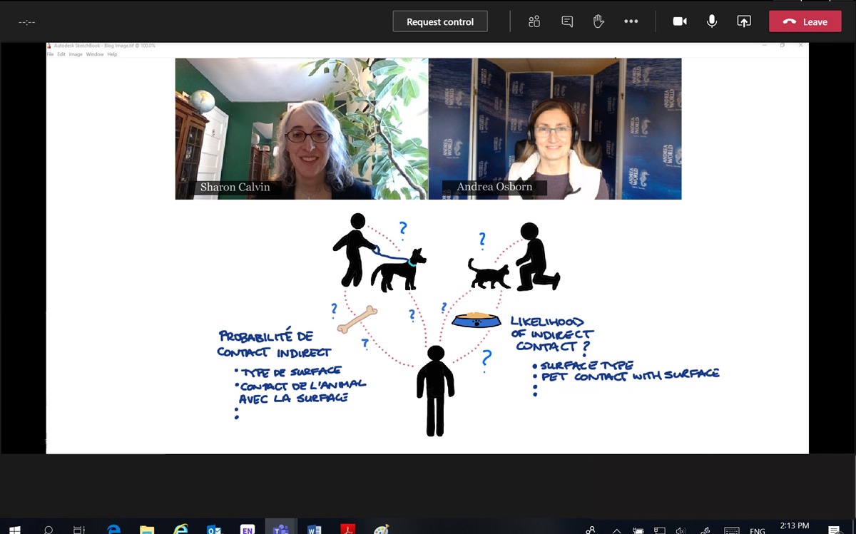 Sharon Calvin and Andrea Osborn are pictured in a video call, sharing an illustration of a companion animal risk pathway.
