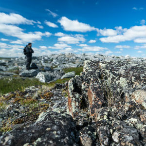 Hunting for early life in Arctic Canada