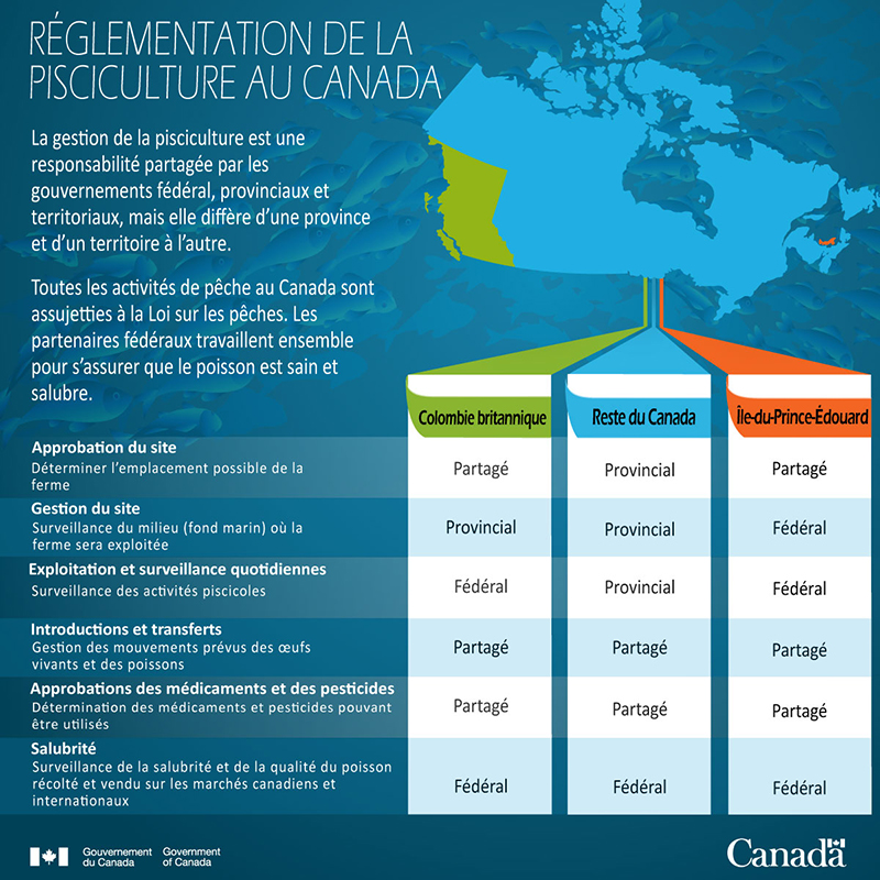 Infographie : Réglementation de la pisciculture au Canada