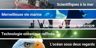 Les sciences océaniques en vedette! - juillet 2019