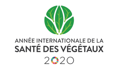 Année internationale de la santé des végétaux (2020)