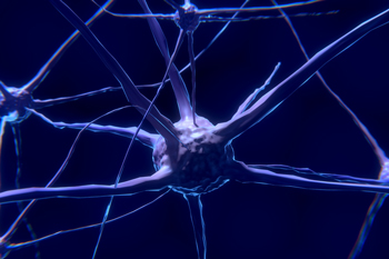 Unlocking a prion mystery by studying neurons