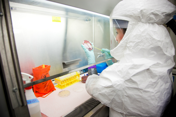 Scientist working in a Level 3 biosafety cabinet
