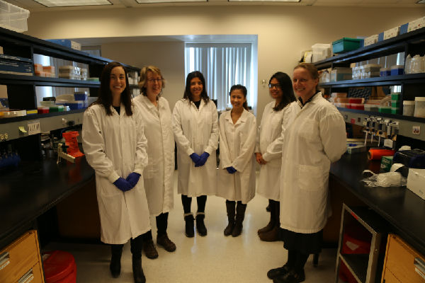 Diagnostic testing for Zika virus is performed by staff from the Viral Zoonoses section of the National Microbiology Laboratory.