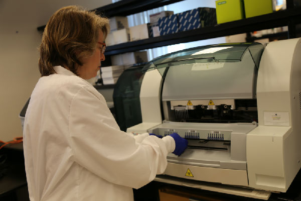 PHAC scientist performs diagnostic testing by extracting nucleic acid from multiple Zika virus samples.