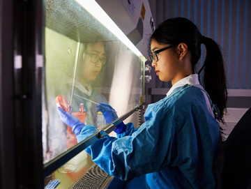 A researcher working with a pathogen behind a biosafety cabinet