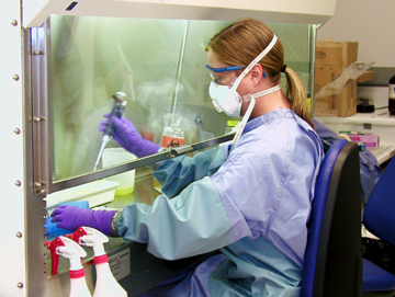 Dr. Adrienne Meyers working inside of a biosafety cabinet.