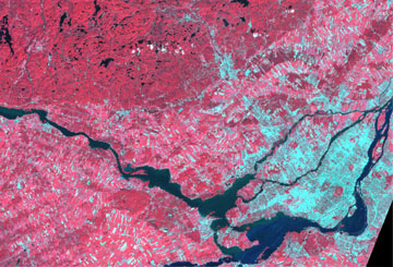 An image taken by the space-based Earth observation LANDSAT-5 satellite.