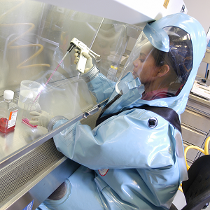 Sur la voie d’un avenir plus sain et plus sûr : travaux du Laboratoire national de microbiologie portant sur les vaccins