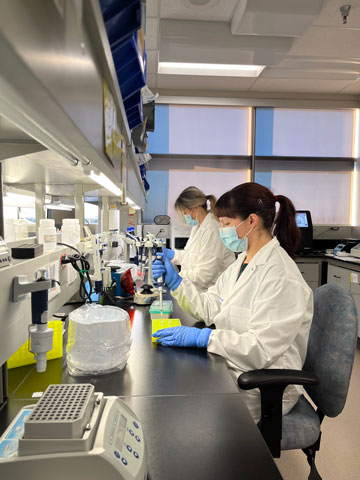 Dr. Kara Loos and Dr. Stefani Kary working in Saskatchewan's provincial laboratory.