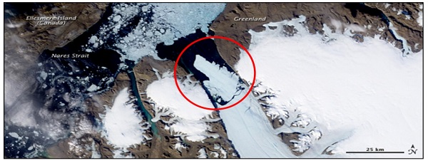 Image MODIS de la NASA montrant une île de glace de 300 km2 ayant vêlé du glacier Petermann en 2010. L’image a été prise le 5 août 2010, et Crawford en a fait le montage en 2013. 