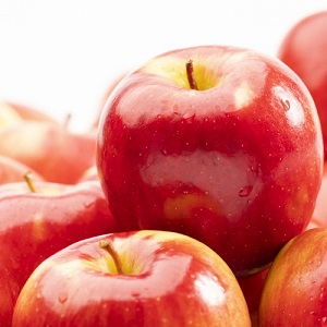 Les vergers stressés conduisent à des pommes Ambrosia blessées