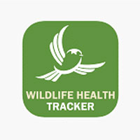 L'application mobile « Wildlife Health Tracker. »