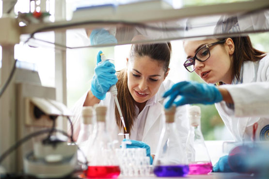Photo de deux scientifiques effectuant des travaux dans un laboratoire.